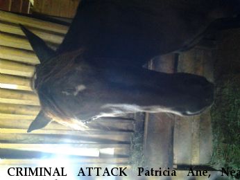CRIMINAL ATTACK Patricia Ane, Near Okeechobee , FL, 34972